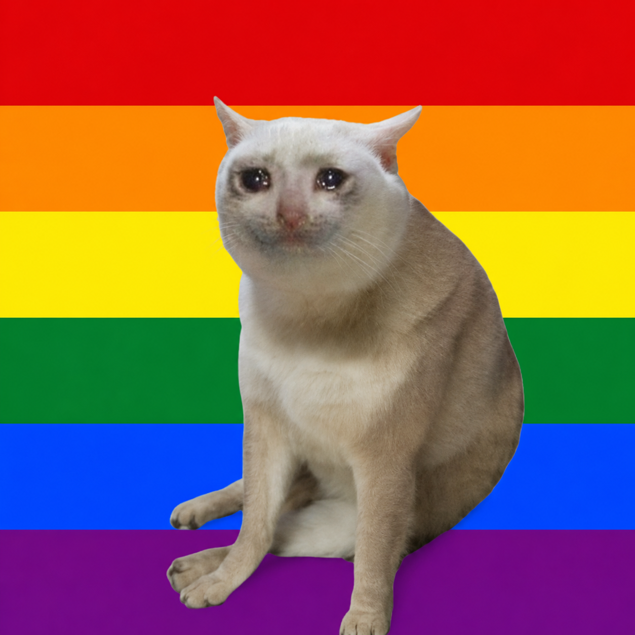 Crying cat against a rainbow pride flag